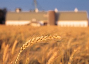 Leave Sheaves Behind and Be Rewarded