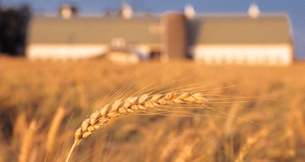 Leave Sheaves Behind and Be Rewarded